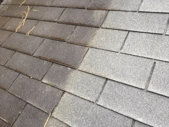 Close-up of gray roof shingles with a diagonal seam and a few straw bits on the left