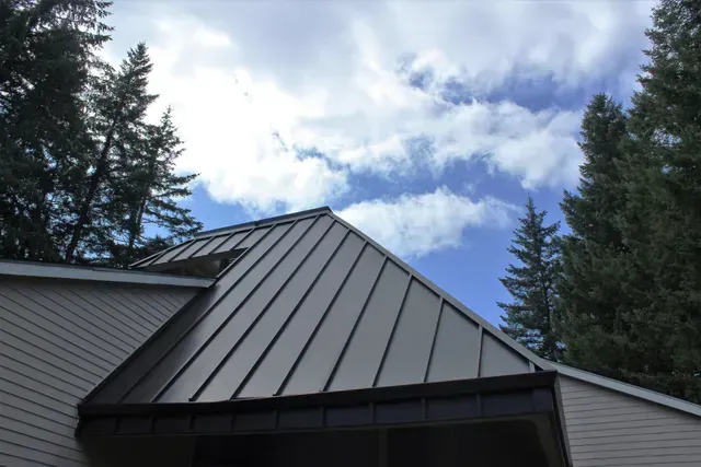 Metal roof on a house beneath cloudy sky, framed by tall evergreen trees