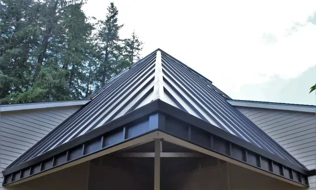 Dark gray metal roof with a steep peaked ridge on a building, set against trees and sky