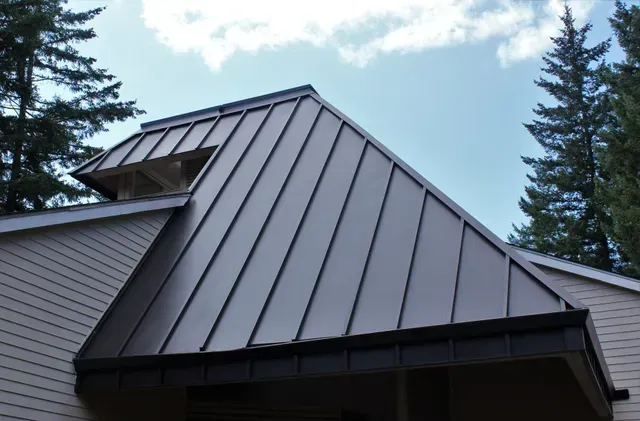 Gray metal roof on a building, with trees and blue sky in the background
