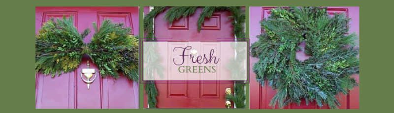 fresh greens