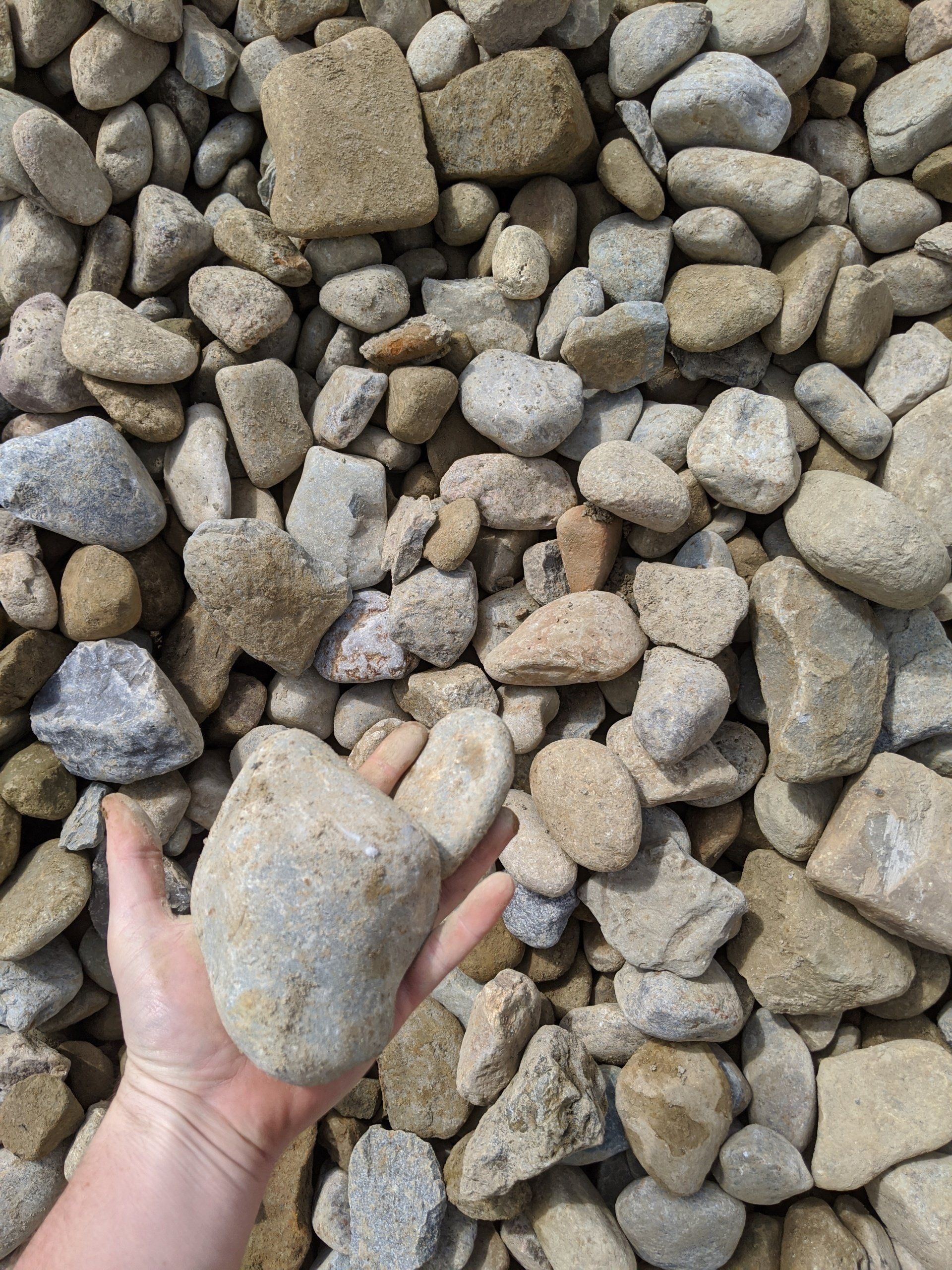 Hand holding a light gray rock, surrounded by a pile of various sized, colored rocks.