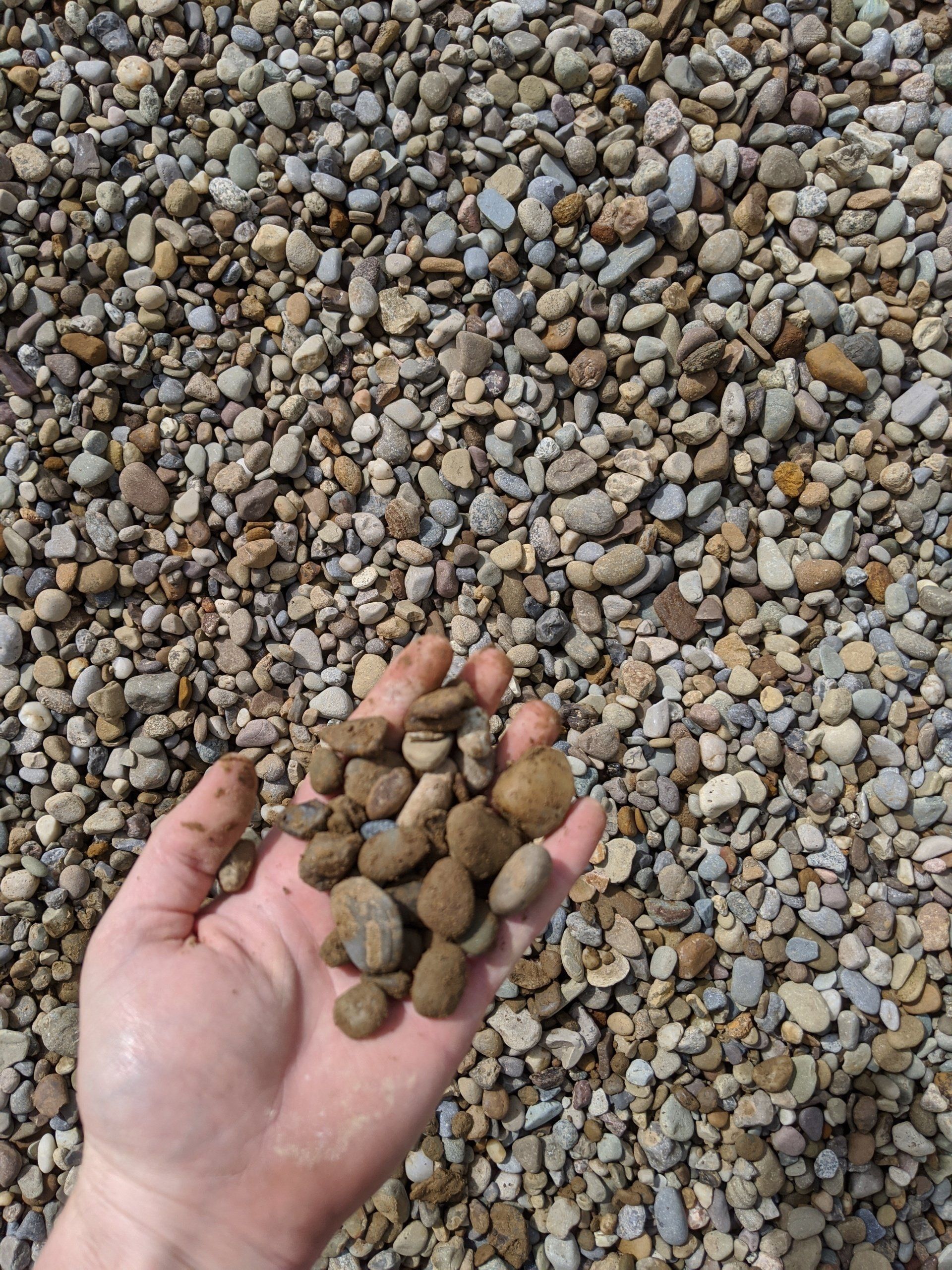 Handful of small, rounded, tan and gray river rocks, with more scattered in the background.