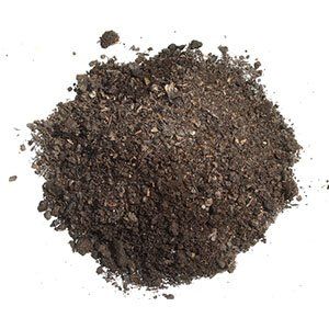 Pile of dark, granular soil on a white background.