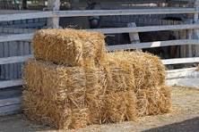Stack of straw bales in a farm setting, with wooden fence in the background.