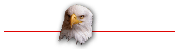 Logo Morosos incobrables