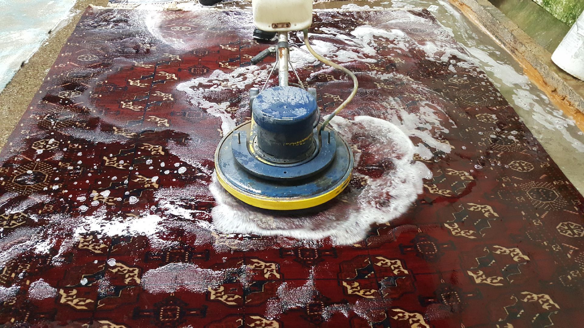 rug washing walnut creek