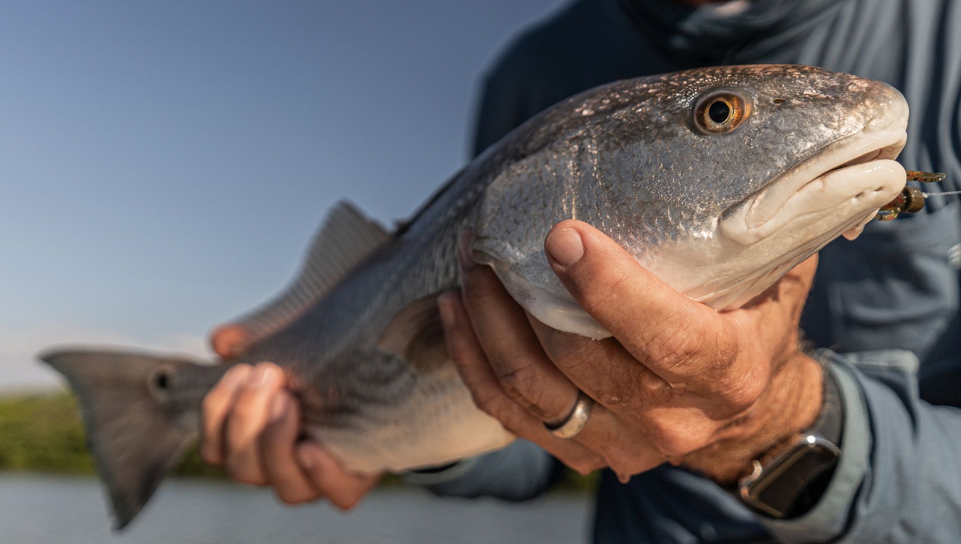 Person holding a silver fish outdoors against a blue sky, with another fish blurred in the background