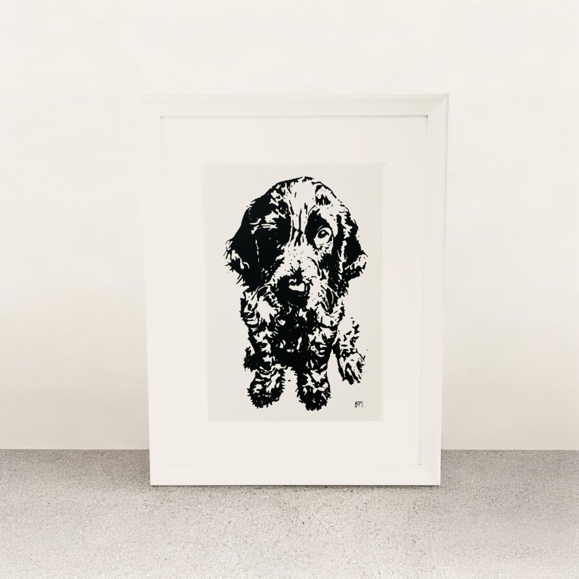 A4 Blue roan cocker spaniel puppy