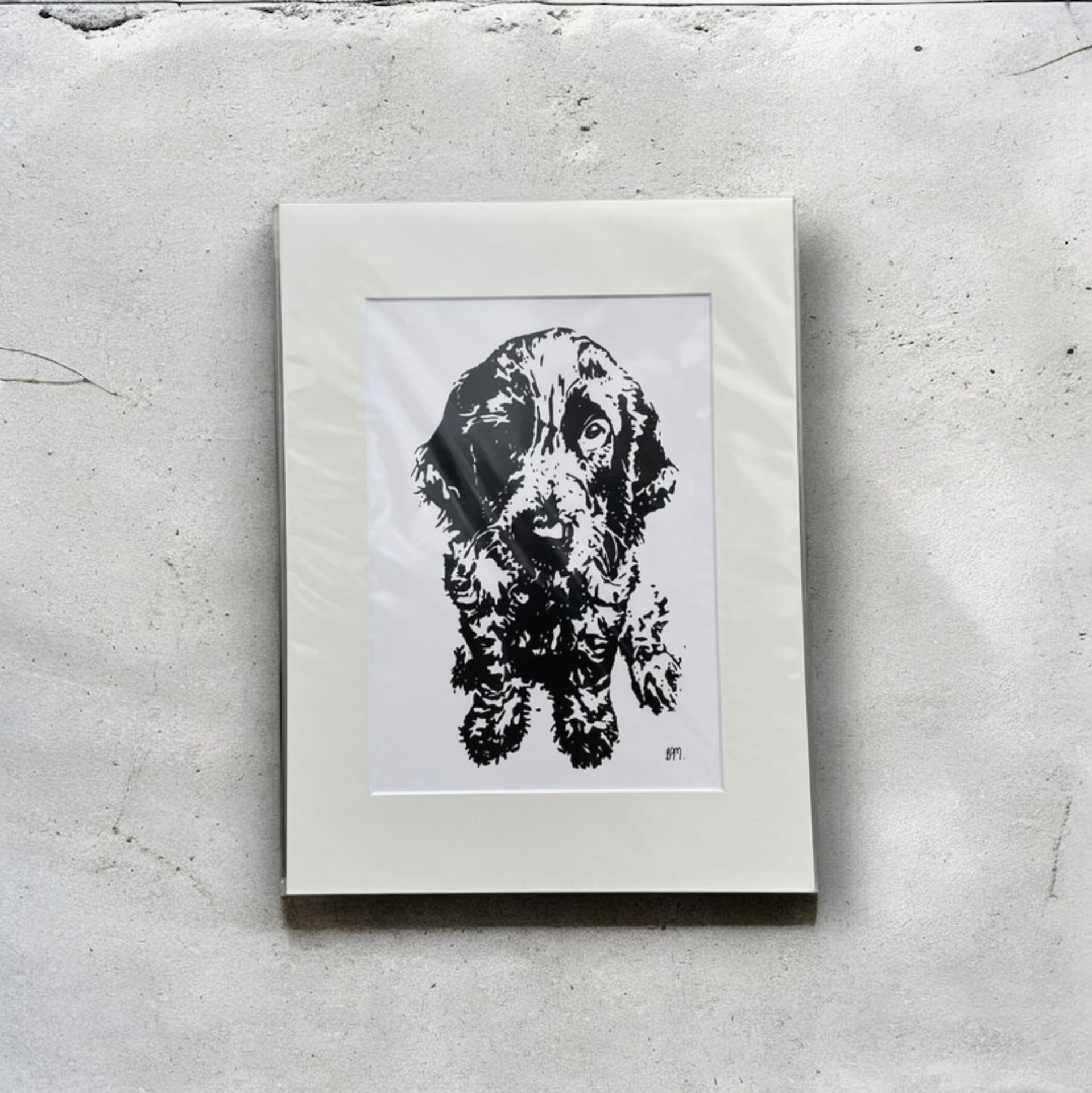 Boo&Beau Pet Prints