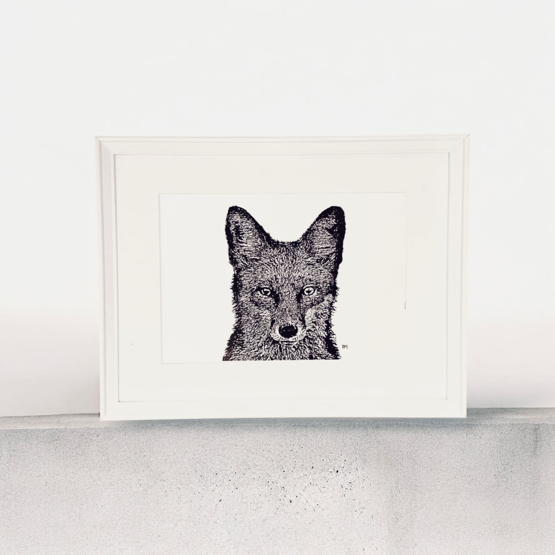 A3 Fox Head, front profile.