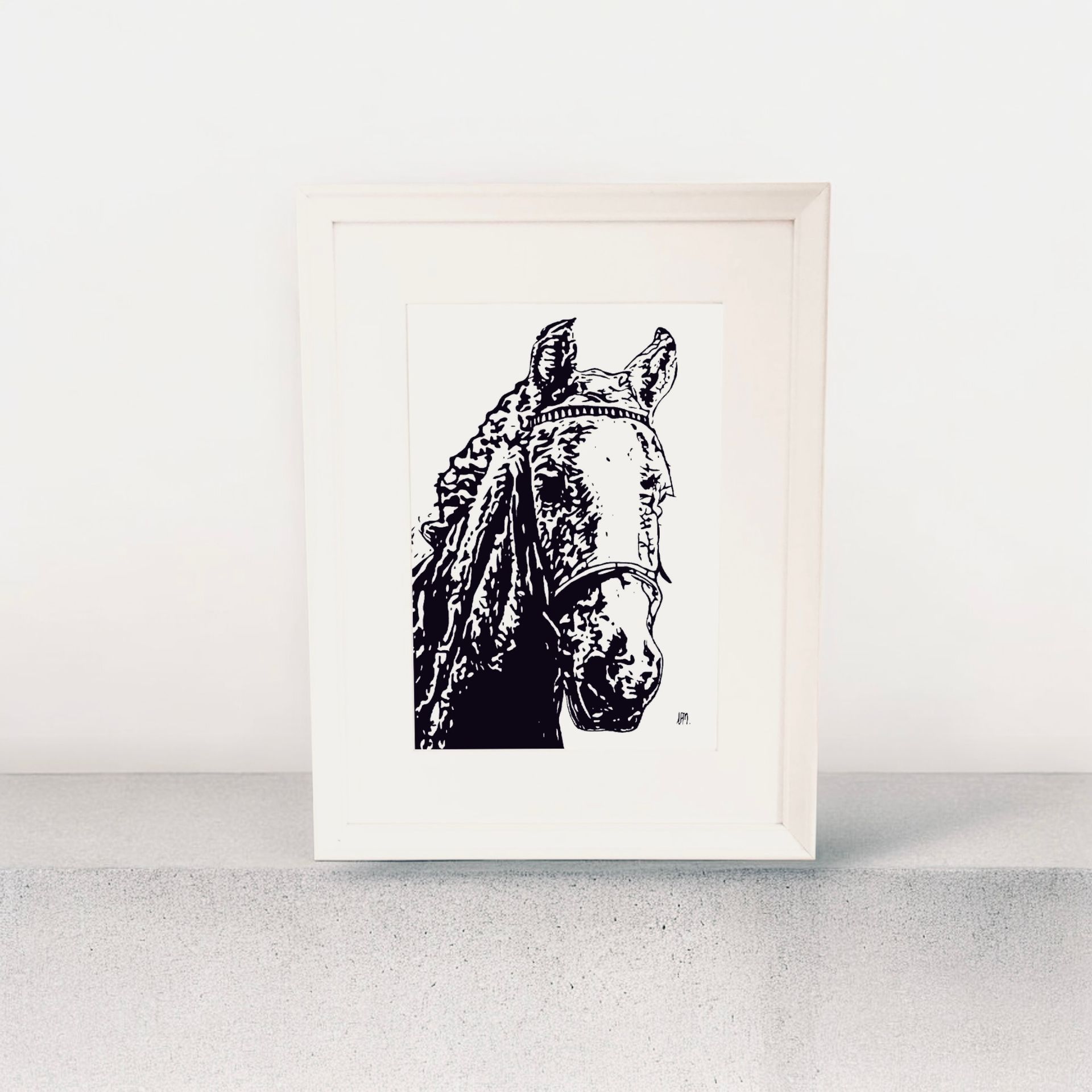 A3 Prince the Pony, Head Shot