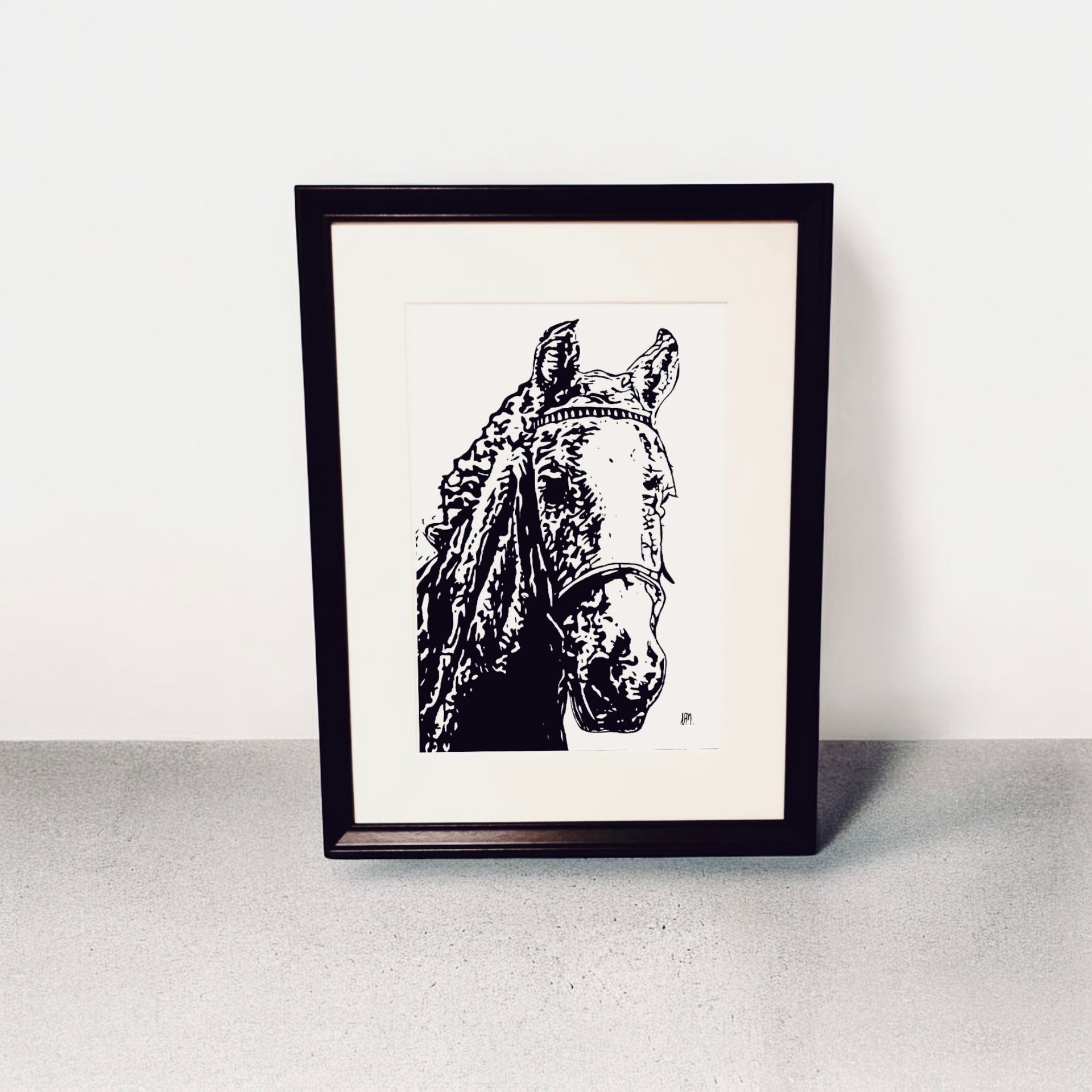 A3 Prince the Pony, Head Shot