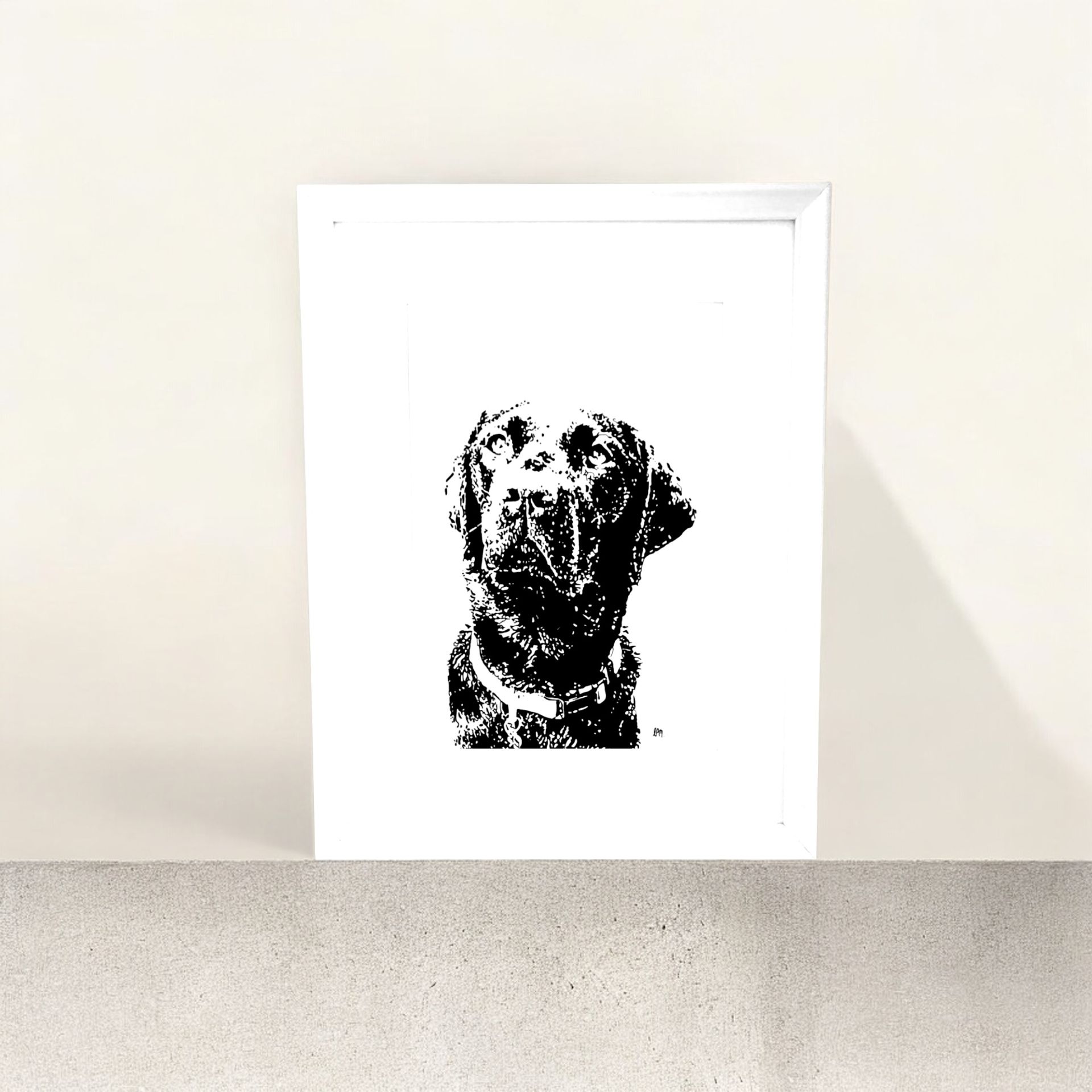 A4 Black Lab, Head Shot