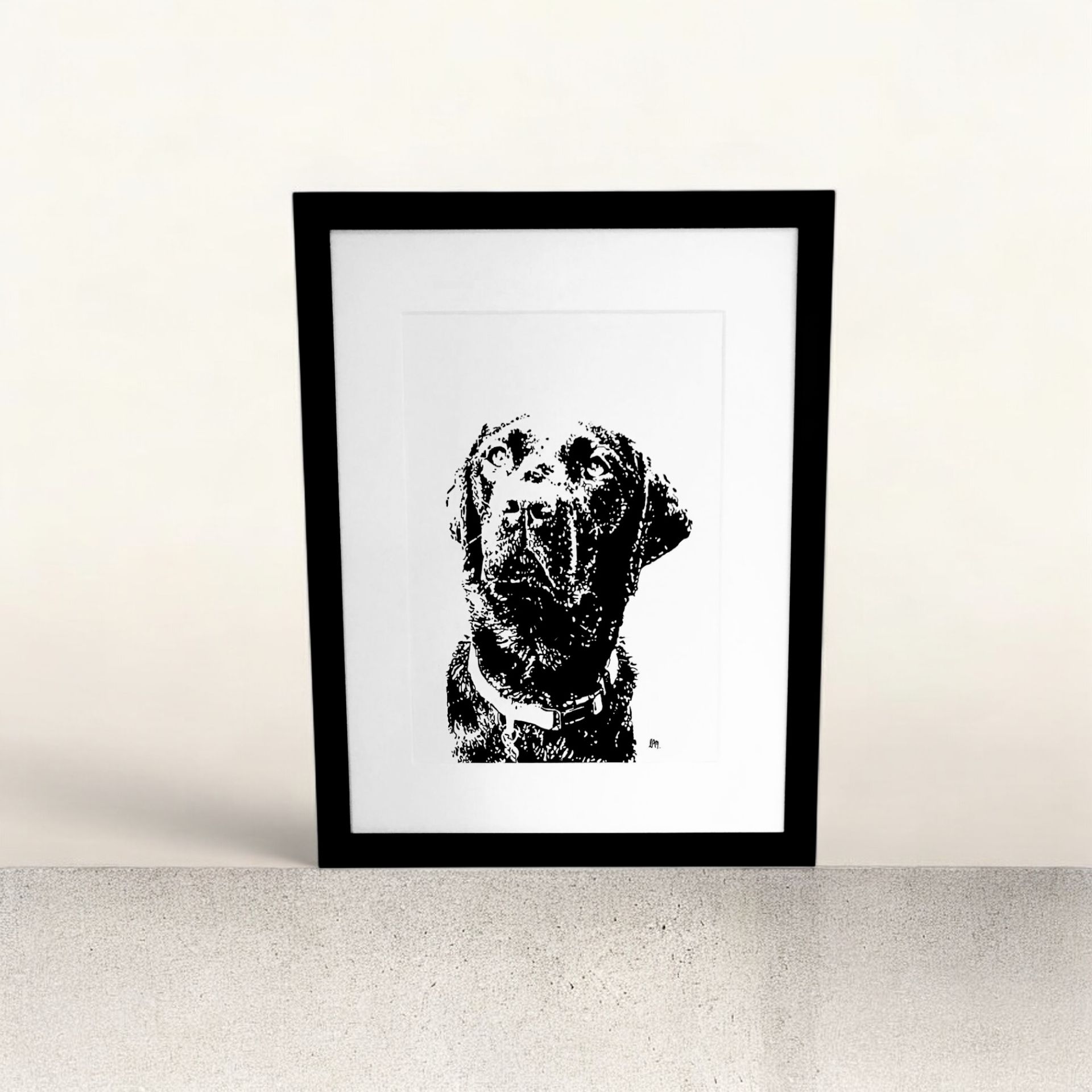 A4 Black Lab, Head Shot