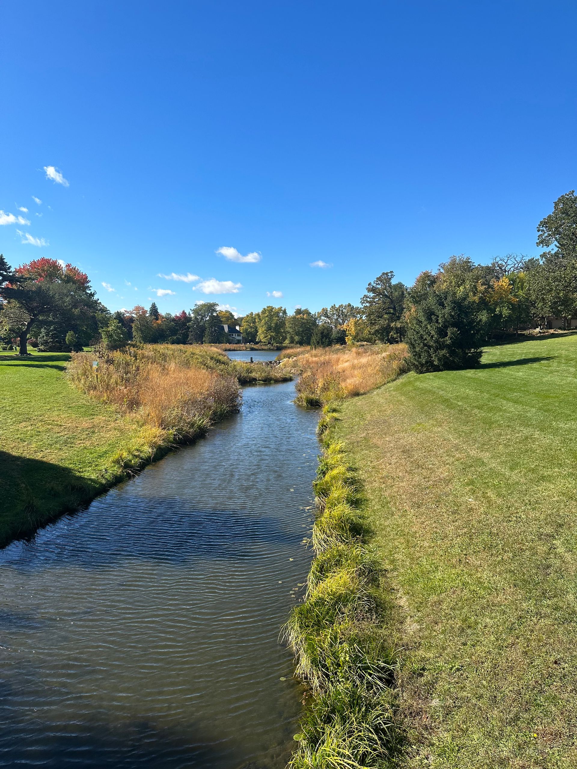 Brook Forest Community Association