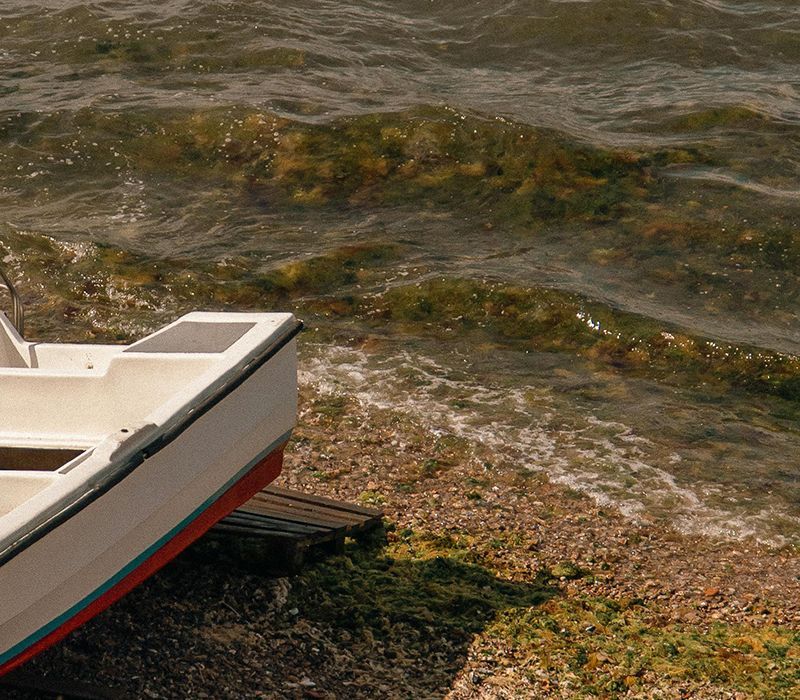 Small white boat pulled onto a rocky lakeshore with gentle waves lapping nearby