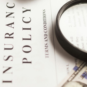 Insurance policy document with a magnifying glass over text and terms and conditions visible