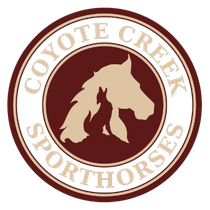 Logo for Coyote Creek Sporthorses: A tan horse head silhouette featuring a howling coyote inside, on a maroon circle.