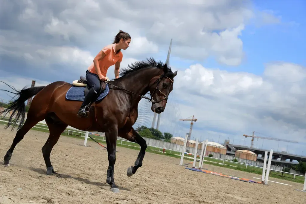 A person riding a brown horse at a trot in a sandy outdoor arena with jump obstacles in the background under a cloudy sky.