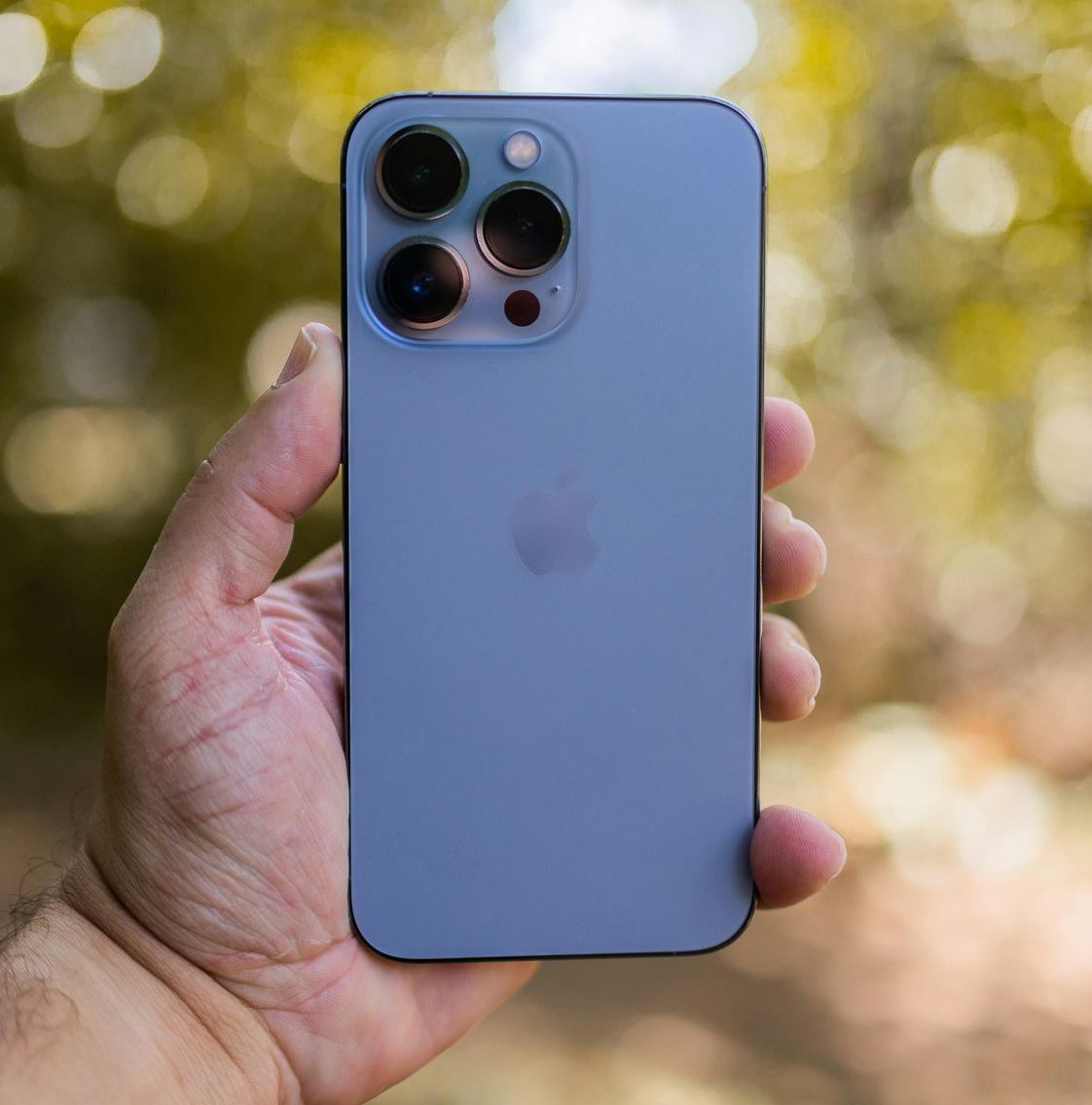 Una persona tiene in mano un iPhone blu.