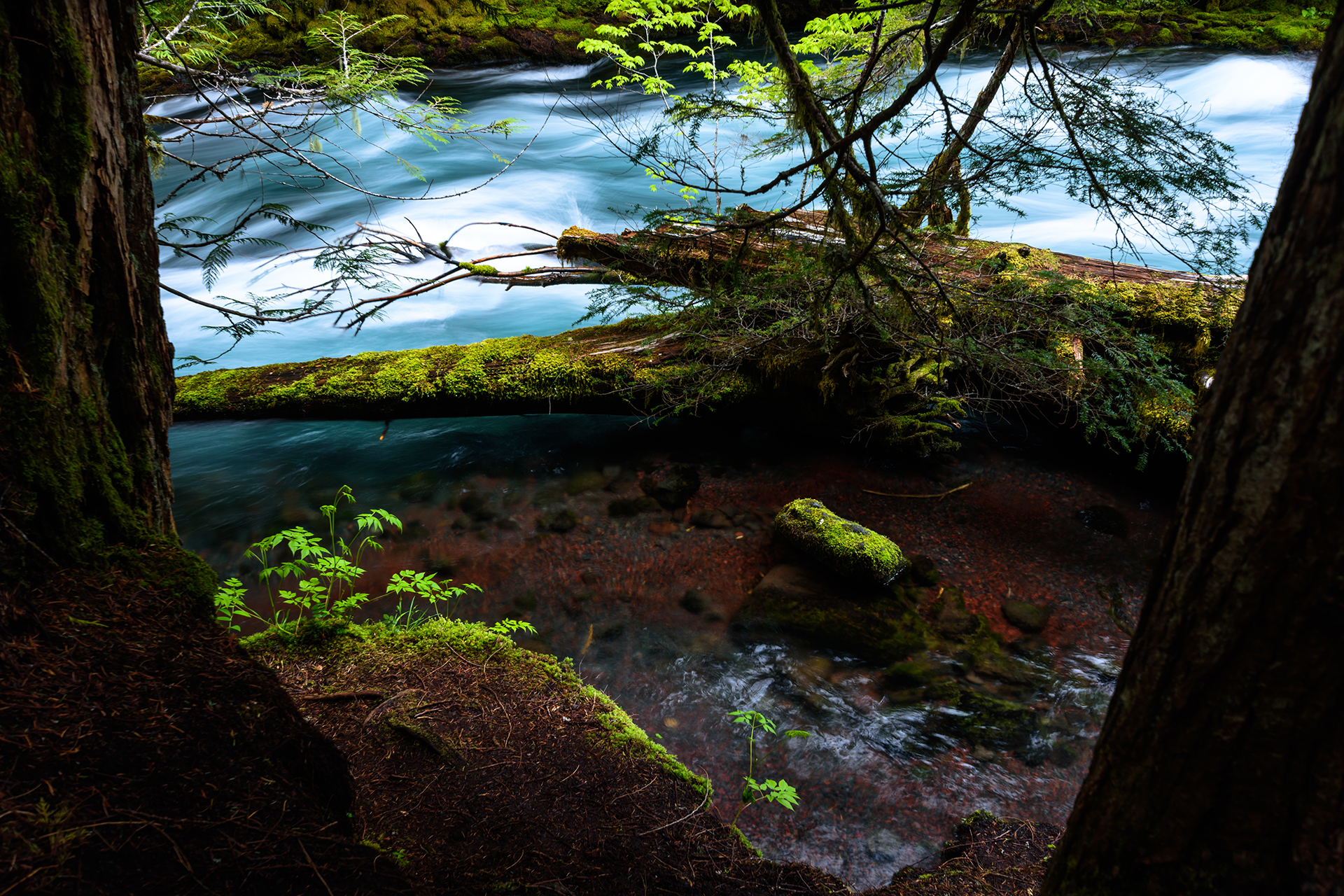 Perl Funeral Home & Siskiyou Memorial Park | Medford, OR