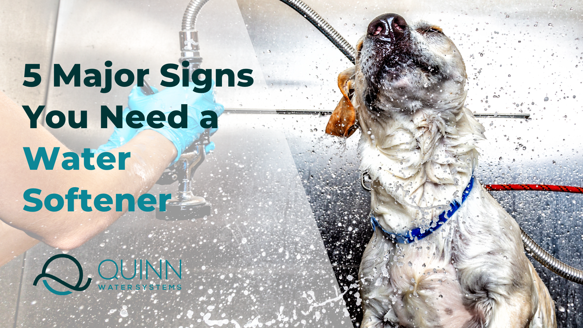 signs you need a water softener