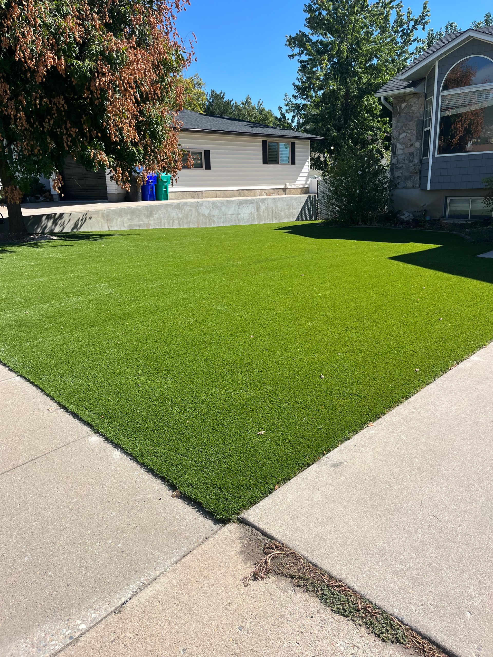 A bright green patch of artificial turf in a residential yard, with sidewalk in the foreground.