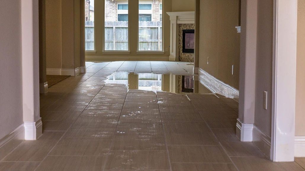 About Carpet Experts in El Paso, TX About Carpet Experts in El Paso, TX