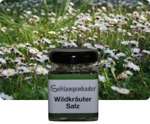 Schlangenbader Wildkräutersalz 40 g