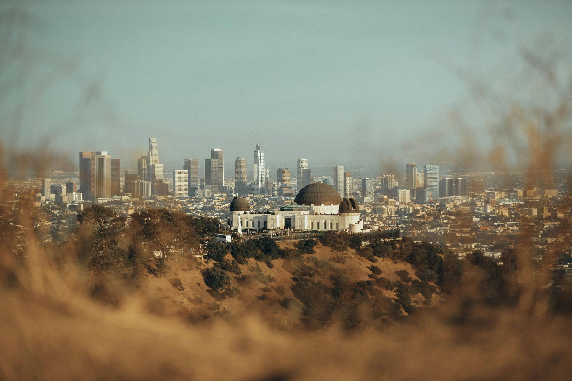 Griffith Observatory overlooks Los Angeles skyline, framed by dry, golden grass.