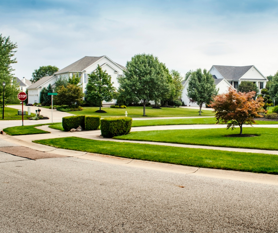 Neighborhood