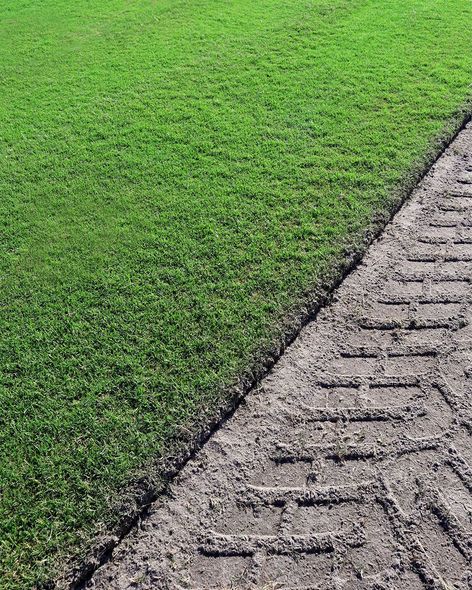 Green grass beside a diagonal gravel path with curved tire tracks Green grass beside a diagonal gravel path with curved tire tracks
