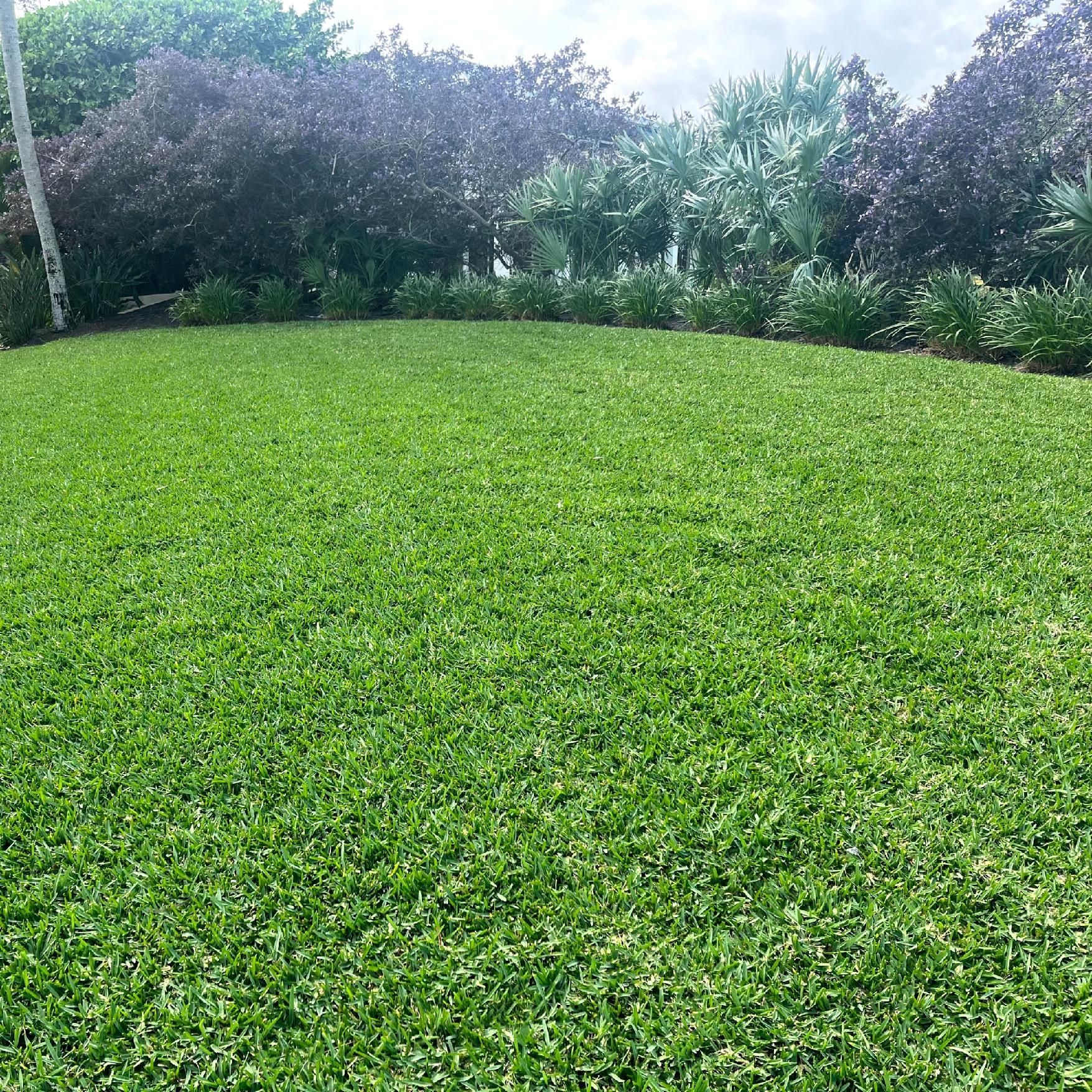 Rolled grass sod stacked in a row, showing green blades and brown soil on the cut edges
