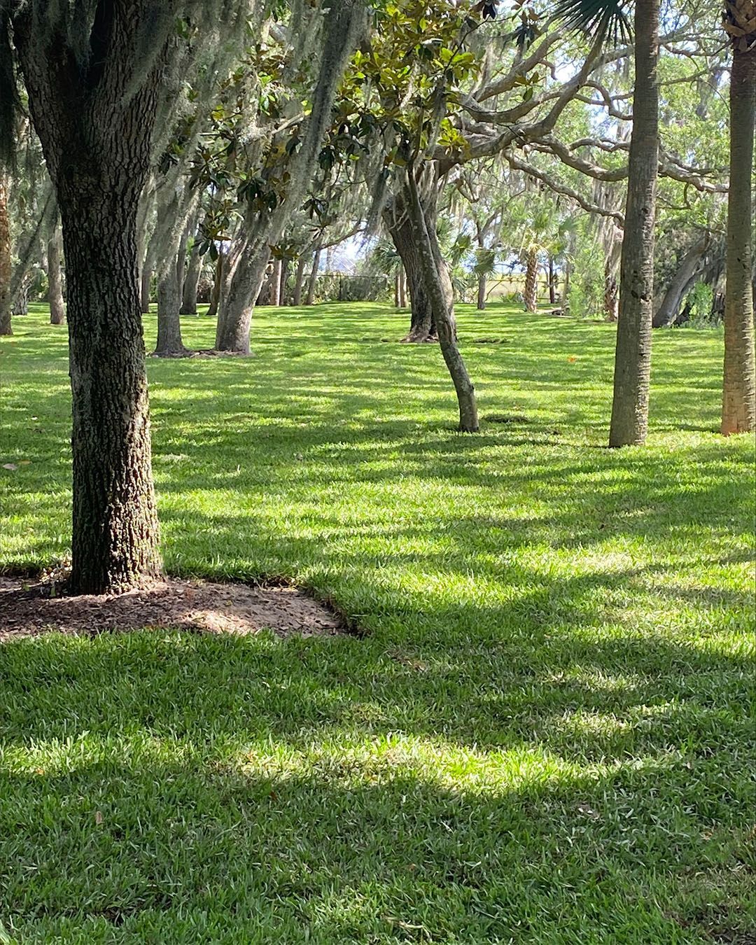 Stacked rolls of artificial turf or sod on wooden pallets outdoors Stacked rolls of artificial turf or sod on wooden pallets outdoors