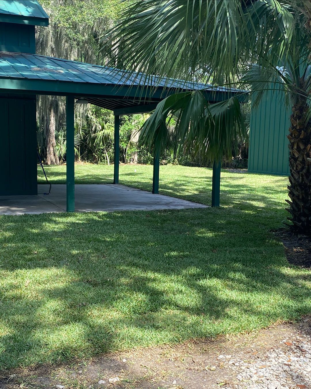 Green-roofed shelter with palm trees and grassy yard in bright sunlight