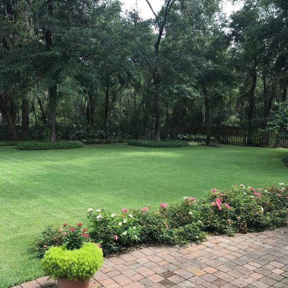 Green lawn with flower bed and brick path beside a wooded garden border Green lawn with flower bed and brick path beside a wooded garden border