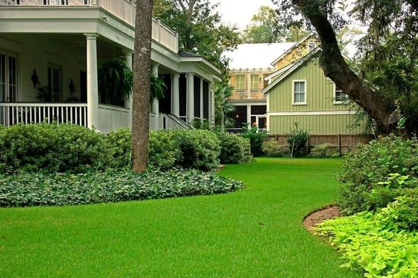 Lush green lawn between two pale houses with porches and trees in a quiet garden courtyard Lush green lawn between two pale houses with porches and trees in a quiet garden courtyard