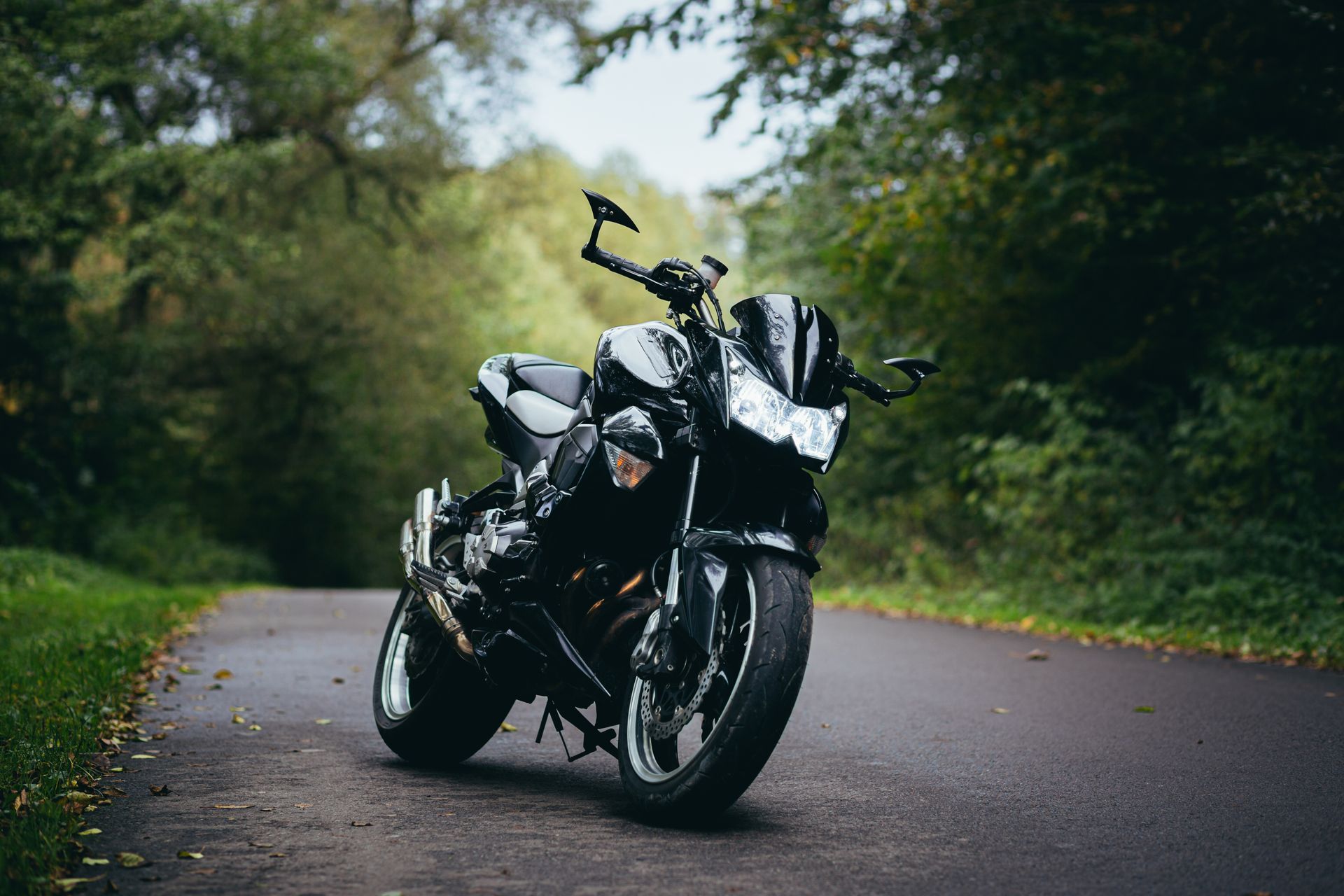 Motorcycle parked on a wet forest road, framed by lush green trees.