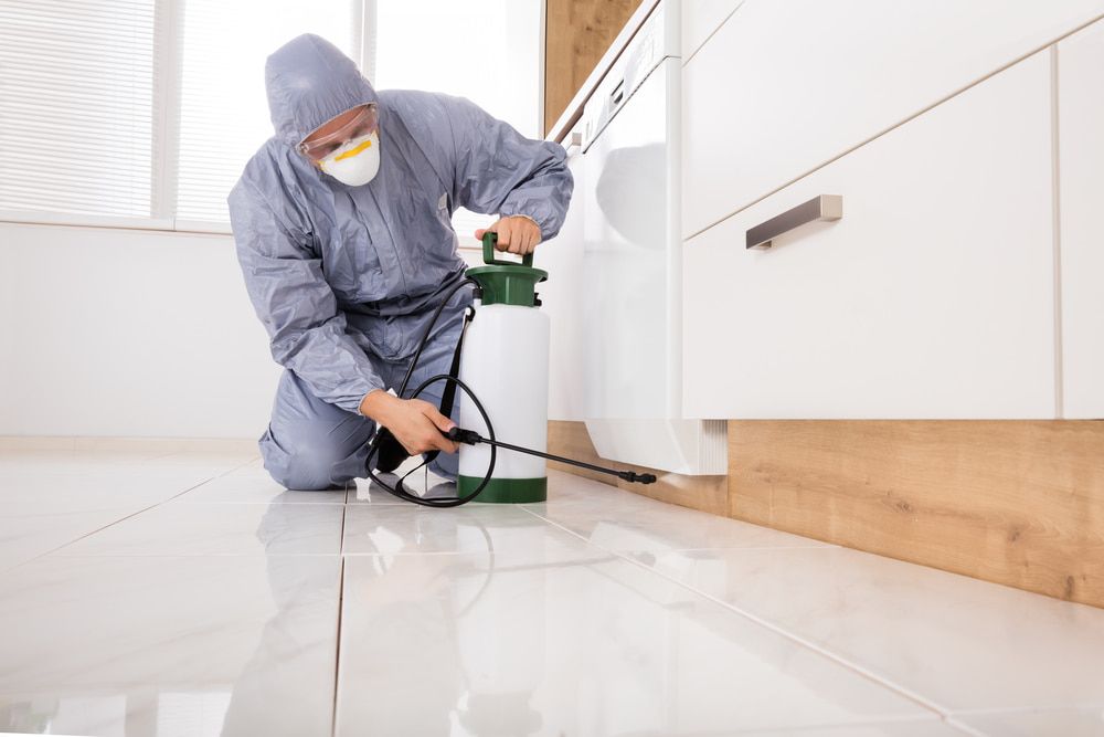 A Man In A Protective Suit Is Spraying A Room With A Sprayer — KMC Pest Management in Armidale, NSW