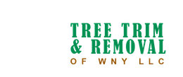 Tree Trim and Removal WNY