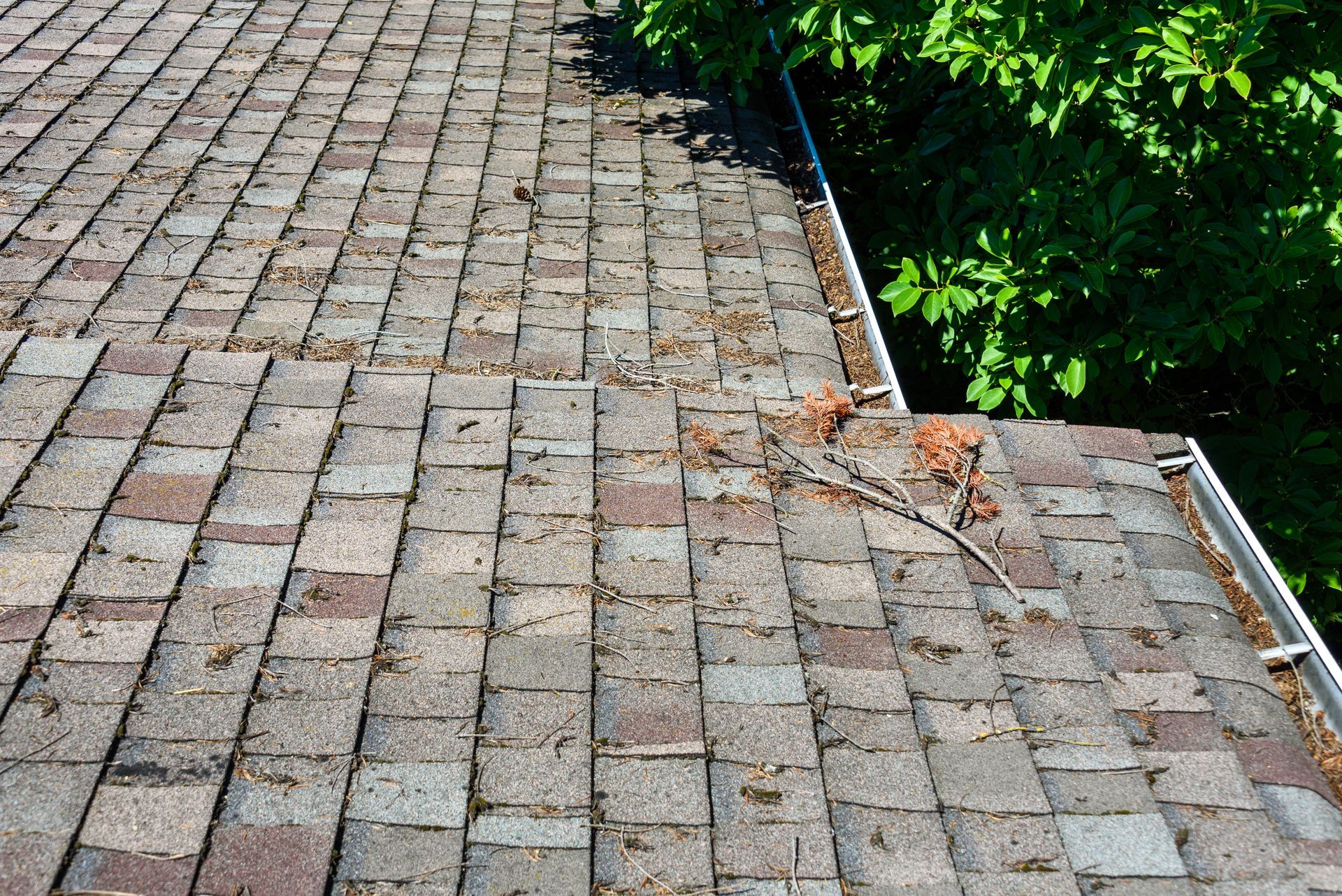 A roof with a gutter on it and a tree in the background.