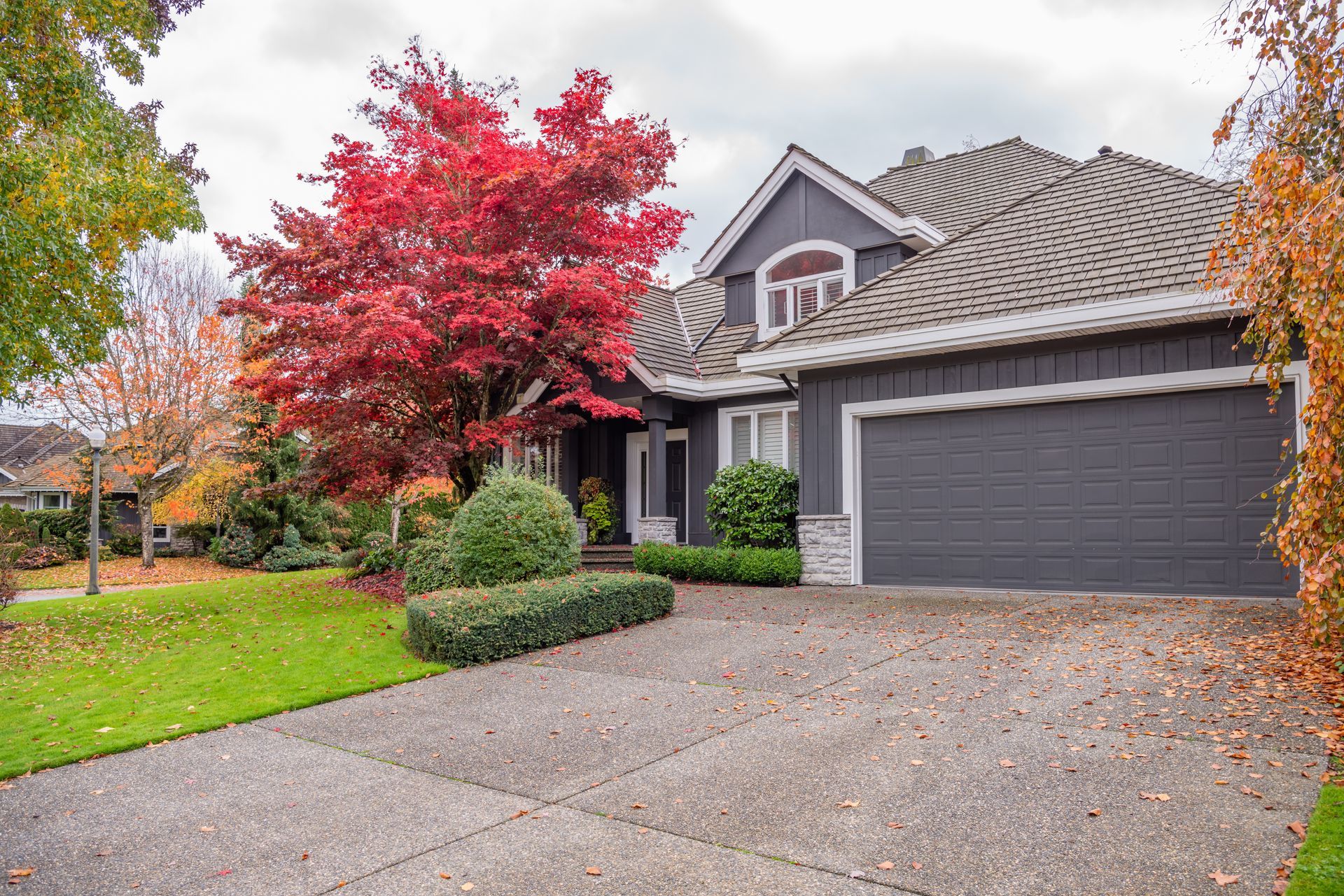 House with gray siding, driveway, and red autumn tree.