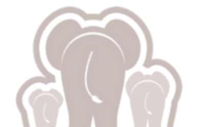Wenno USA logo