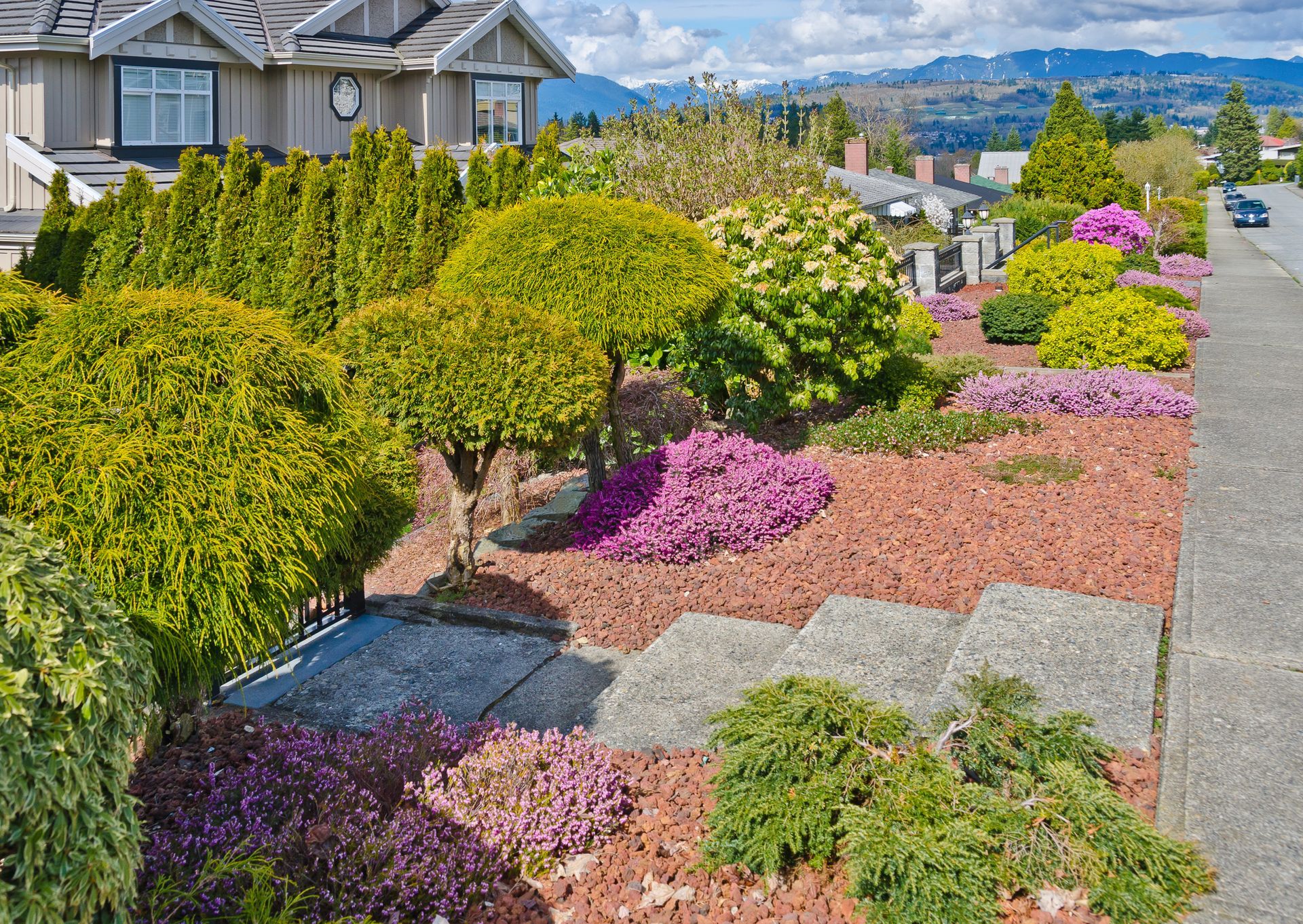 Colorful landscaped garden beside houses, with green shrubs, pink flowers, and a paved path on a hillside.