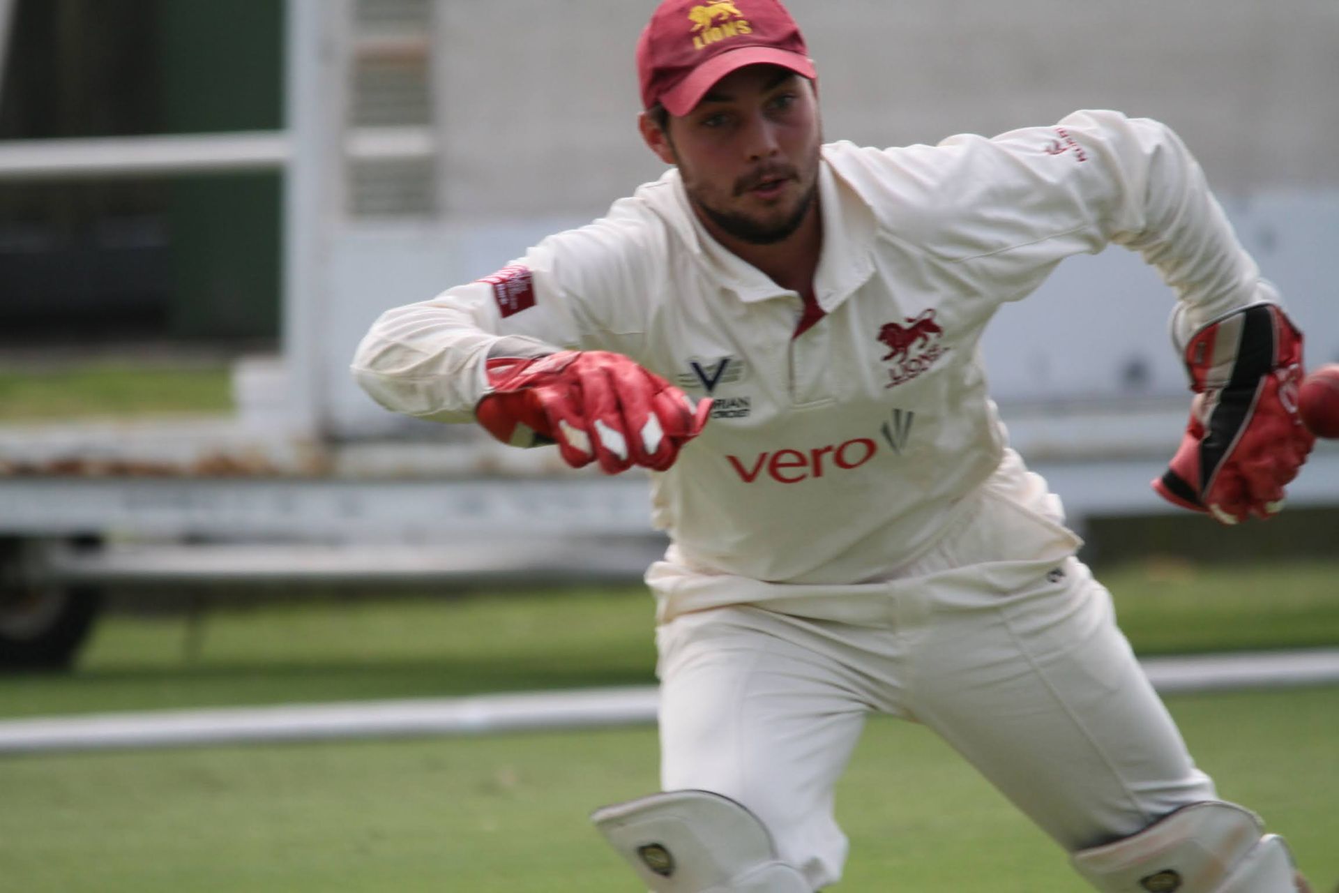 Cricket player in white and red gear diving to field a ball on a grassy field.