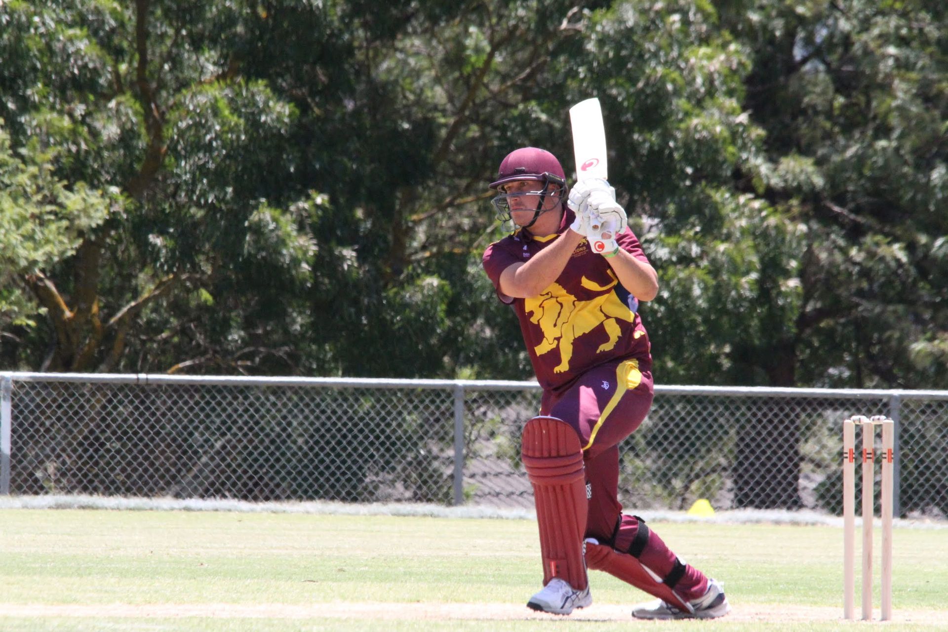Cricket batsman in maroon and gold mid-swing near the wicket on a sunny field