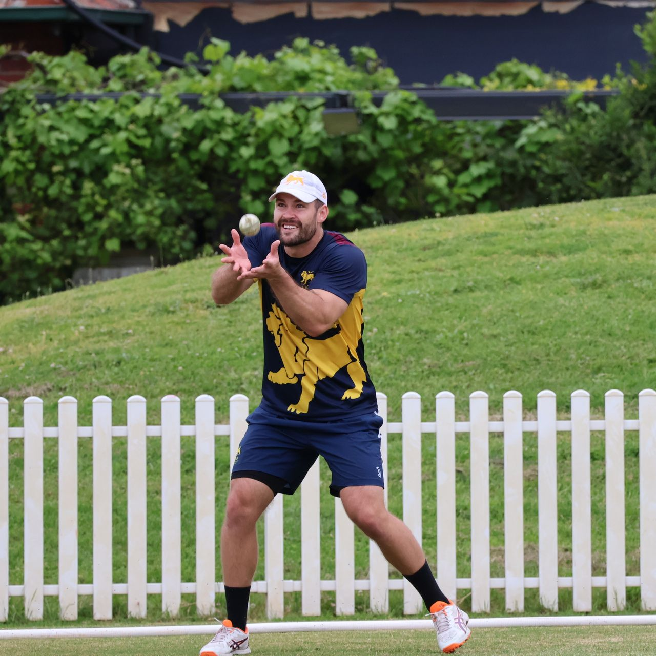 Cricketer in navy and yellow kit catching a ball on a grassy field in front of a white picket fence.
