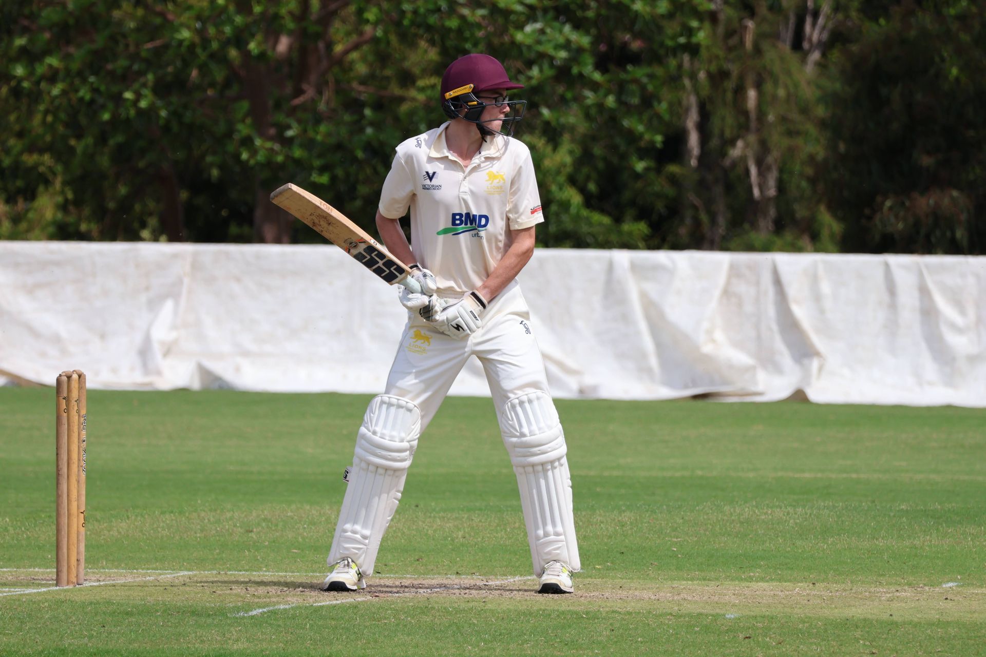 Cricket batter in white gear and maroon helmet stands ready at the crease on a grassy field.