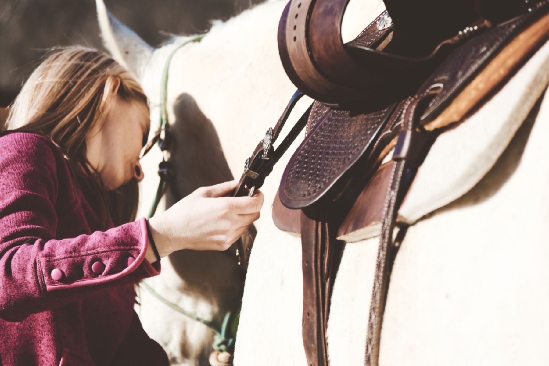 A Young Girl Is Putting On A Saddle On A White Horse — Sunshine Coast Farrier Services In Yandina, QLD